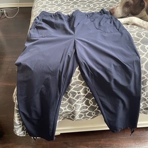 Chicos zenergy ankle/cropped pants.